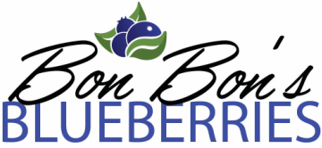 Bon Bons Blueberries